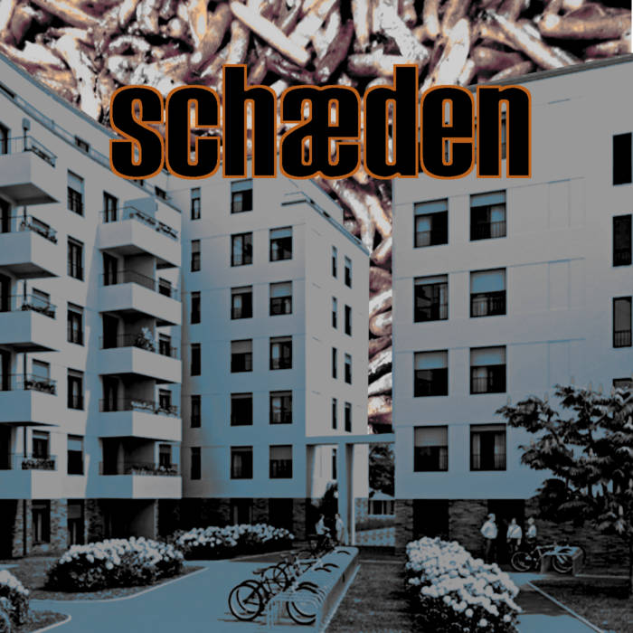 SCHAEDEN